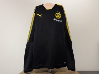 BLUZA Borussia Dortmund (Niemcy) training Puma M