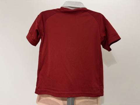 KOSZULKA Dania (reprezentacja) 2010 home Adidas 116