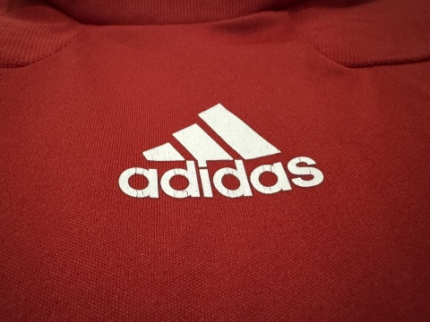 KOSZULKA Dania (reprezentacja) 2010 home Adidas 116