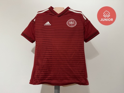 KOSZULKA Dania (reprezentacja) 2014 home Adidas 140