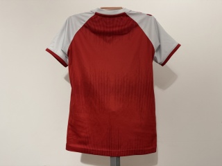 KOSZULKA Dania (reprezentacja) 2020 home Hummel 128