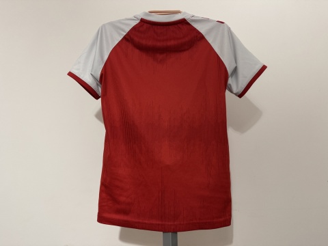 KOSZULKA Dania (reprezentacja) 2020 home Hummel 128