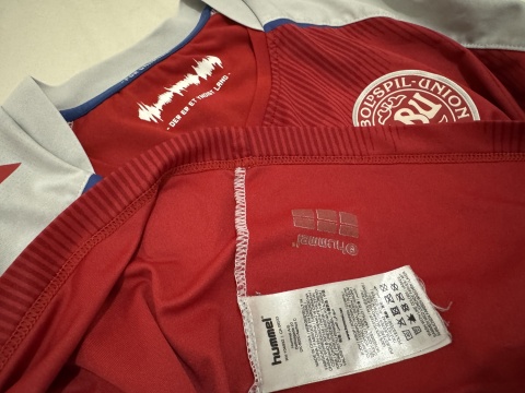 KOSZULKA Dania (reprezentacja) 2020 home Hummel L long