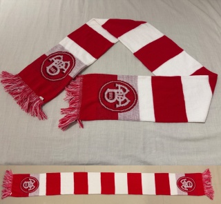 SZAL Aalborg BK (Dania) pasiak