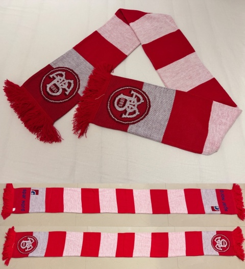 SZAL Aalborg BK (Dania) pasiak