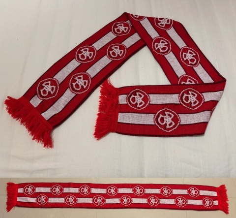 SZAL Aalborg BK (Dania)