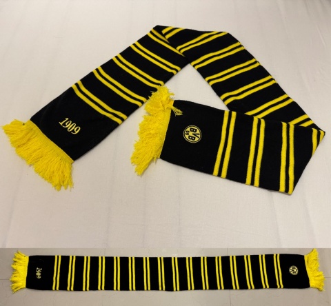 SZAL Borussia Dortmund (Niemcy) pasiak