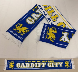 SZAL Cardiff City (Anglia)
