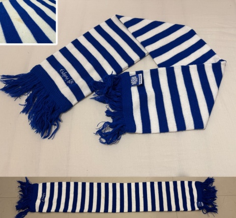 SZAL Esbjerg fB (Dania) pasiak