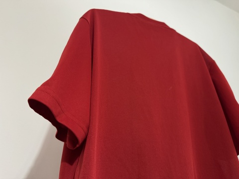 KOSZULKA Aberdeen FC (Szkocja) 2017/18 home Adidas S