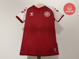 KOSZULKA Dania (reprezentacja) 2020 home Hummel 140