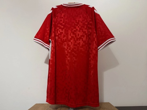 KOSZULKA Dania (reprezentacja) 2024 home Hummel L NOWA