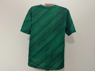 KOSZULKA Irlandia Północna (reprezentacja) 2020 home Adidas 152