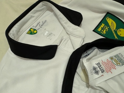 KOSZULKA Norwich City (Anglia) 2013/14 away Errea S