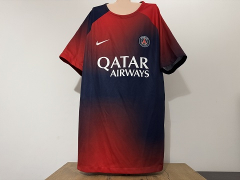 KOSZULKA Paris SG (Francja) 2023/24 pre-match Nike L