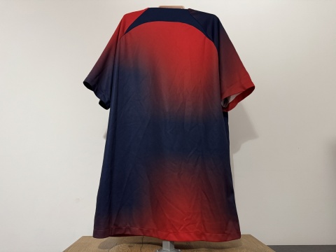 KOSZULKA Paris SG (Francja) 2023/24 pre-match Nike L