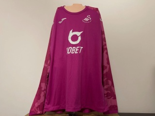 KOSZULKA Swansea City (Anglia) 2019/20 GK Joma L