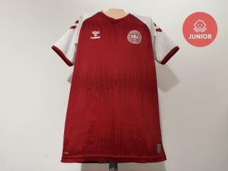 KOSZULKA Dania (reprezentacja) 2020 home Hummel 164