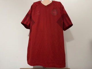 KOSZULKA Dania (reprezentacja) 2022 home Hummel M