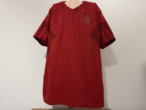 KOSZULKA Dania (reprezentacja) 2022 home Hummel M