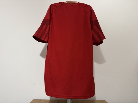 KOSZULKA Dania (reprezentacja) 2022 home Hummel M