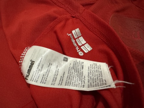 KOSZULKA Dania (reprezentacja) 2022 home Hummel M