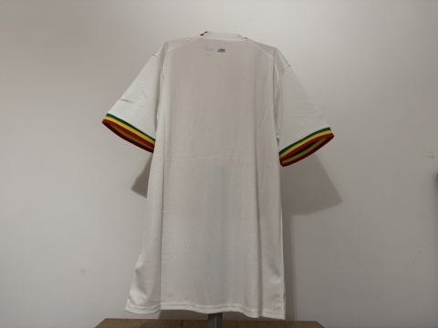 KOSZULKA Senegal (reprezentacja) 2022 home Puma L NOWA