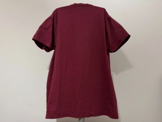 T-SHIRT Pogoń Szczecin (Polska) Puchar Polski finał 2024 S