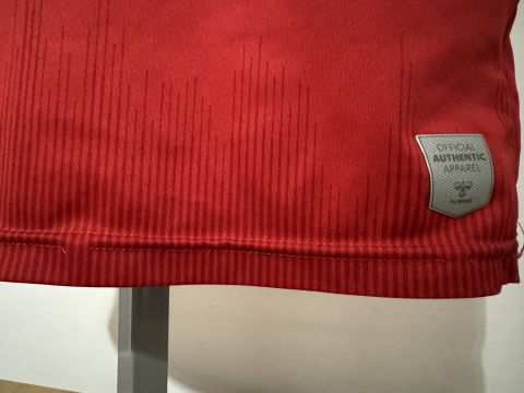 KOSZULKA Dania (reprezentacja) 2020 home Hummel 152