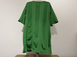 KOSZULKA Irlandia Północna (reprezentacja) 2010 home Umbro M