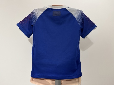 KOSZULKA Islandia (reprezentacja) 2018 home Errea 116