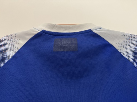 KOSZULKA Islandia (reprezentacja) 2018 home Errea 116