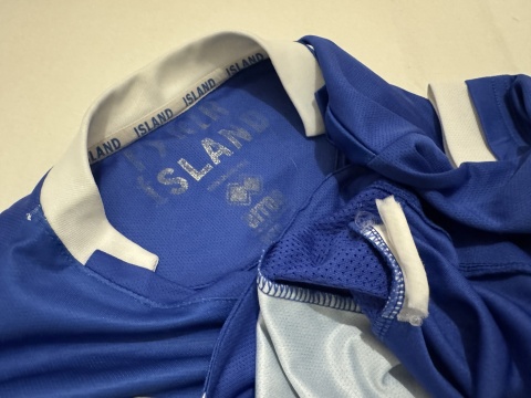 KOSZULKA Islandia (reprezentacja) 2016 home #22 Gudjonsson Errea L