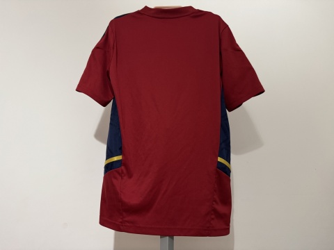 KOSZULKA Ajax Amsterdam (Holandia) 2022/23 training Adias 164