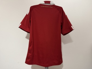 KOSZULKA Dania (reprezentacja) 2010 home Adidas 152