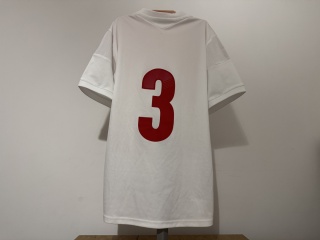 KOSZULKA Dania (reprezentacja) 2015W #3 Adidas L