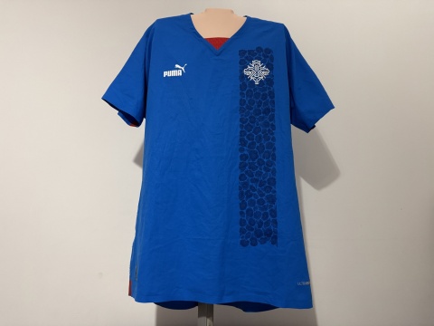 KOSZULKA Islandia (reprezentacja) 2022 home Puma S authentic
