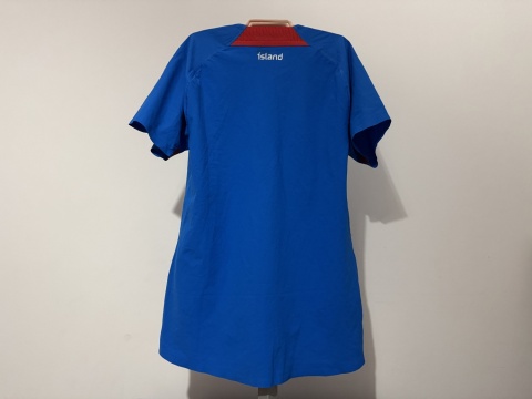KOSZULKA Islandia (reprezentacja) 2022 home Puma S authentic