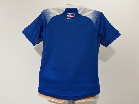 KOSZULKA Islandia (reprezentacja) 2018 home Errea 128