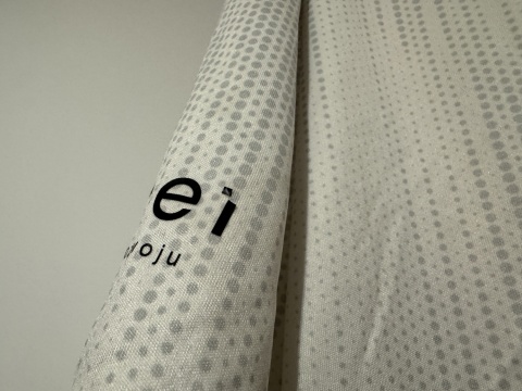 KOSZULKA PKS Radość (Polska) #5 Adidas M