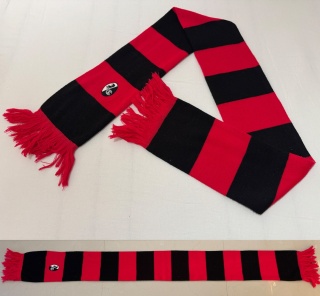 SZAL SC Freiburg (Niemcy) pasiak