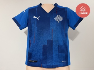 KOSZULKA Islandia (reprezentacja) 2020 home Puma 116