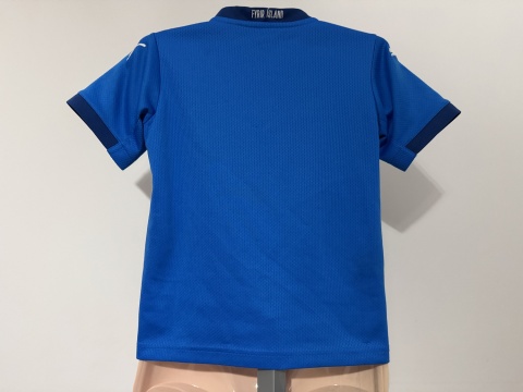 KOSZULKA Islandia (reprezentacja) 2020 home Puma 116