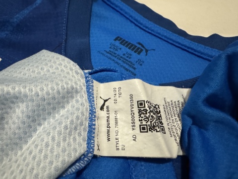 KOSZULKA Islandia (reprezentacja) 2020 home Puma 116