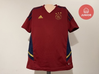 KOSZULKA Ajax Amsterdam (Holandia) 2022/23 training Adidas 152